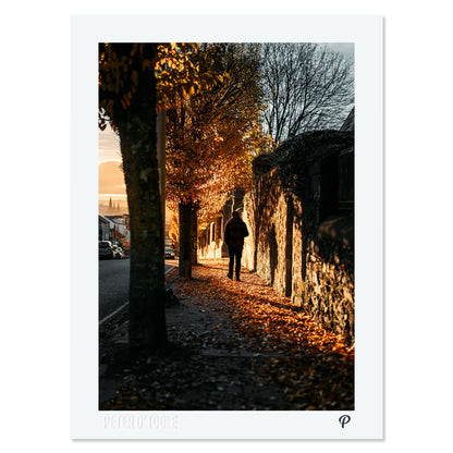 Autumnal Walk on Wellington Print