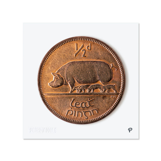 Half Penny/Leath Phingin Sow & Piglets Coin Print