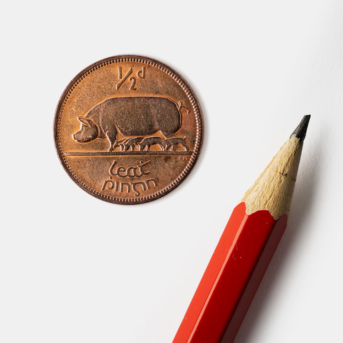 Half Penny/Leath Phingin Sow & Piglets Coin Print