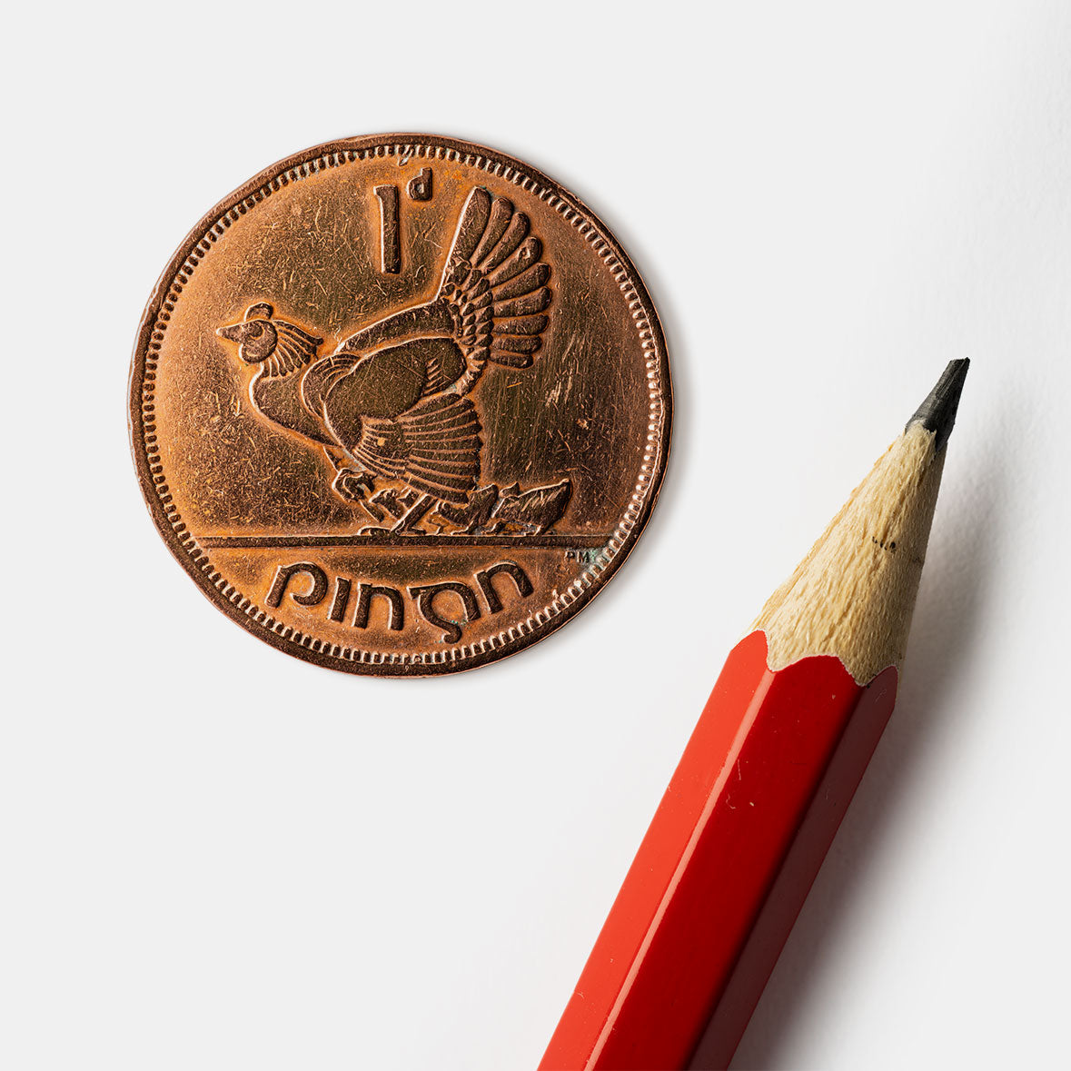 One Penny/Pingin Hen & Chicks Coin Print