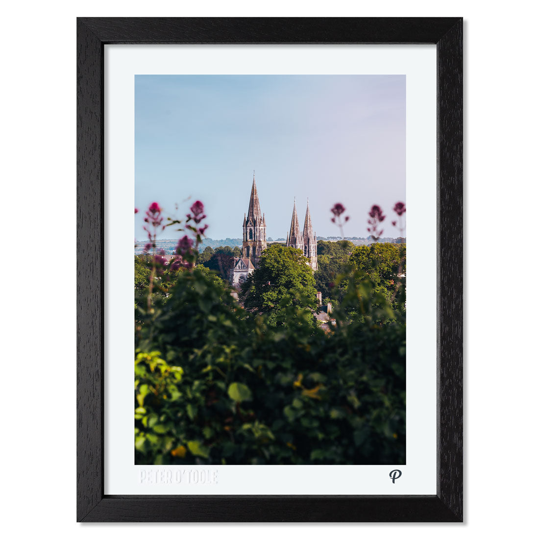 St. Fin Barre’s Cathedral from Sunday's Well Print (Framed)