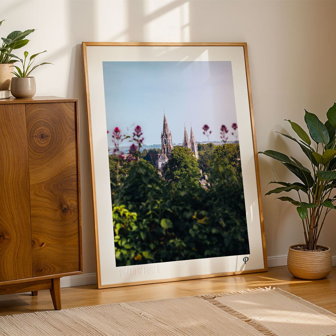 St. Fin Barre’s Cathedral from Sunday's Well Print