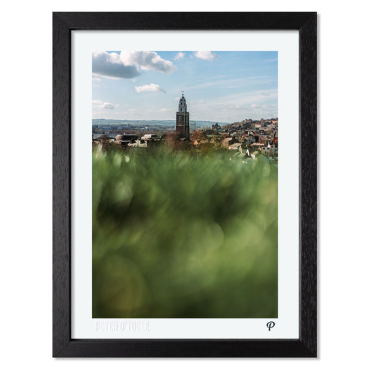 Sunny Shandon Print (Framed)